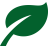 Rispetto